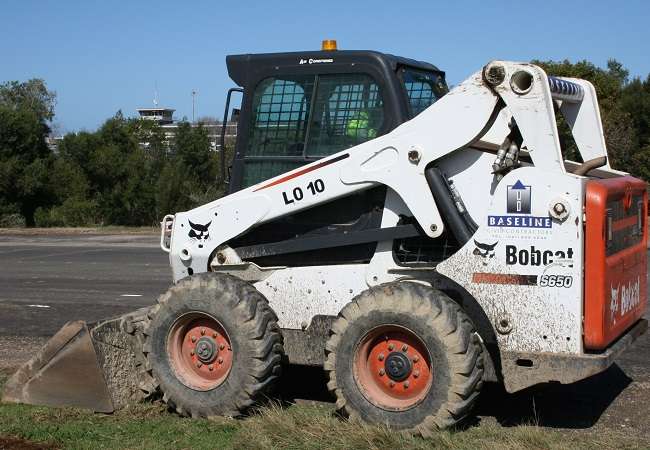 Bobcat
